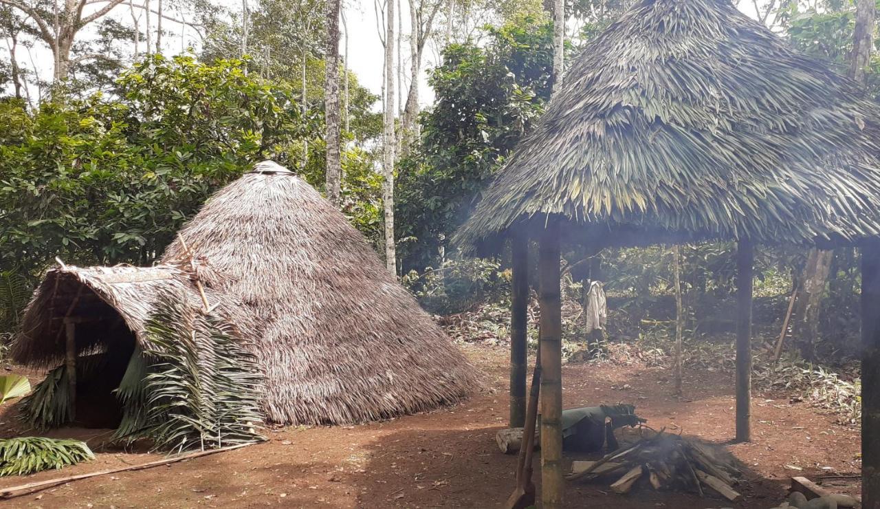 Shipati Lodge Misahualli Экстерьер фото